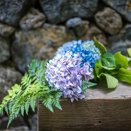 Hacienda Prázdninový dům