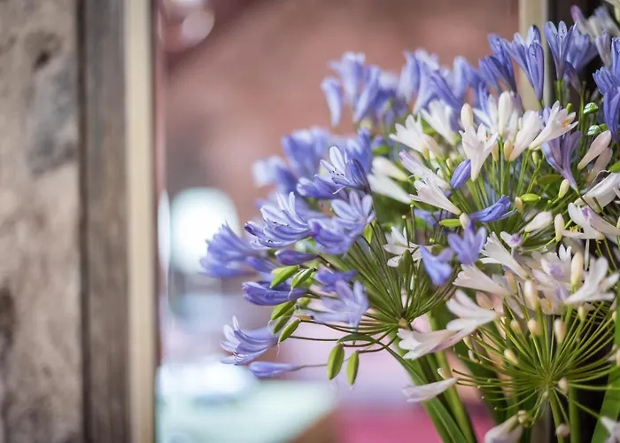 Hacienda * La Orotava