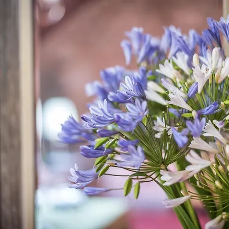 Hacienda * La Orotava