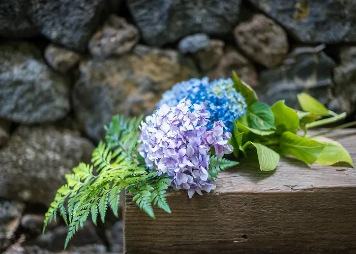 Hacienda Vakantiehuis